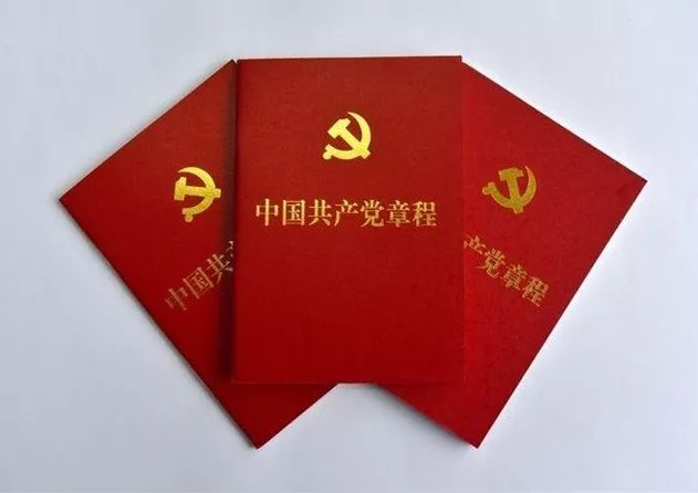 黨章最新奇遇，溫馨小故事中的啟示