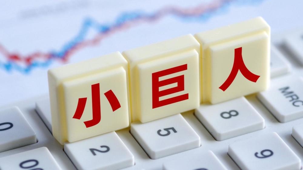 王中王493333中特馬,實地觀察解釋定義_掌中寶53.971