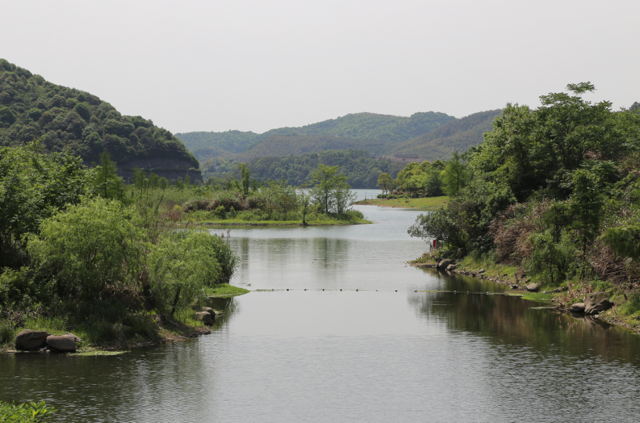 鎮(zhèn)海九龍湖最新動(dòng)態(tài)與小巷深處的獨(dú)特風(fēng)情