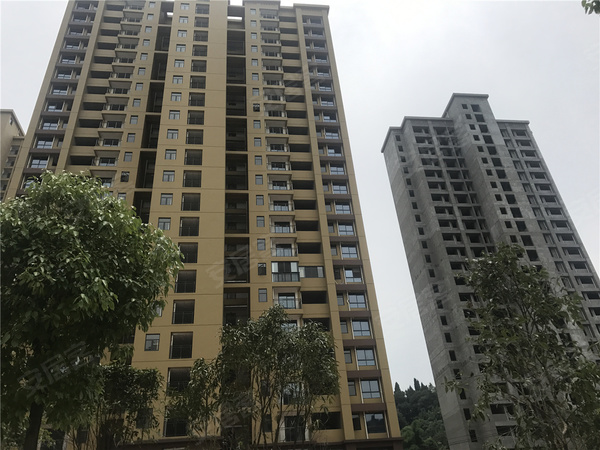 宜昌江南星城最新資訊,宜昌江南星城最新資訊，小巷深處的獨(dú)特味道