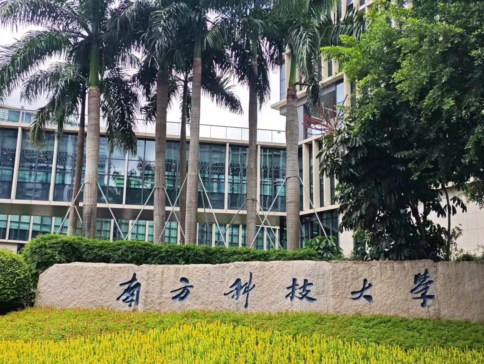 南方科技引領(lǐng)未來創(chuàng)新浪潮，最新科技動態(tài)速遞??