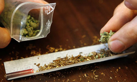 大麻的科學與文化價值探索，最新視角下的探索