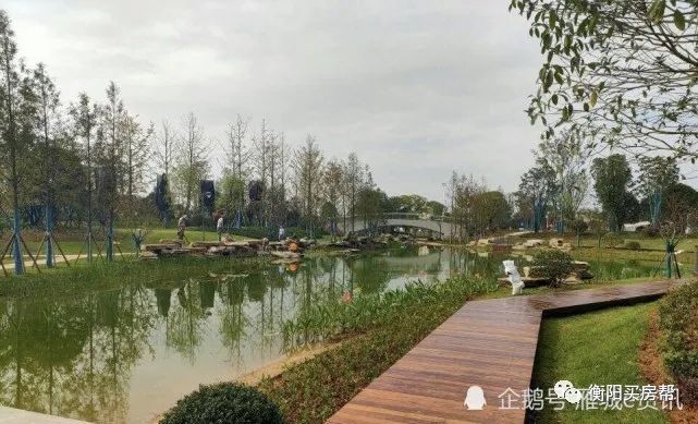 衡陽休閑生活體驗多元化新篇章