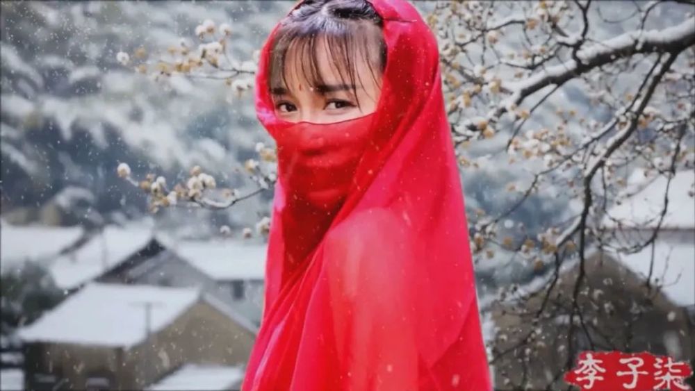 李子柒，美食領域的璀璨新星