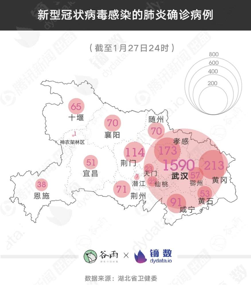 湖北最新數(shù)據(jù)揭秘，日常故事背后的新動(dòng)向