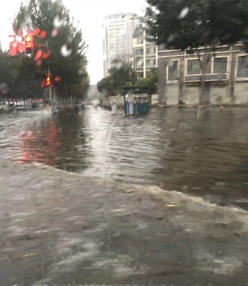 最新沈陽大雨,最新沈陽大雨中的溫馨日常
