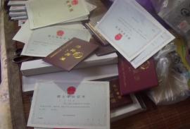 最新假證案背后的心靈與自然的探索之旅