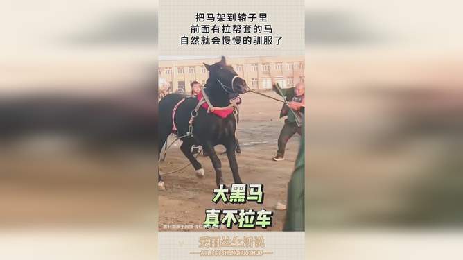 健康管理師 第115頁(yè)