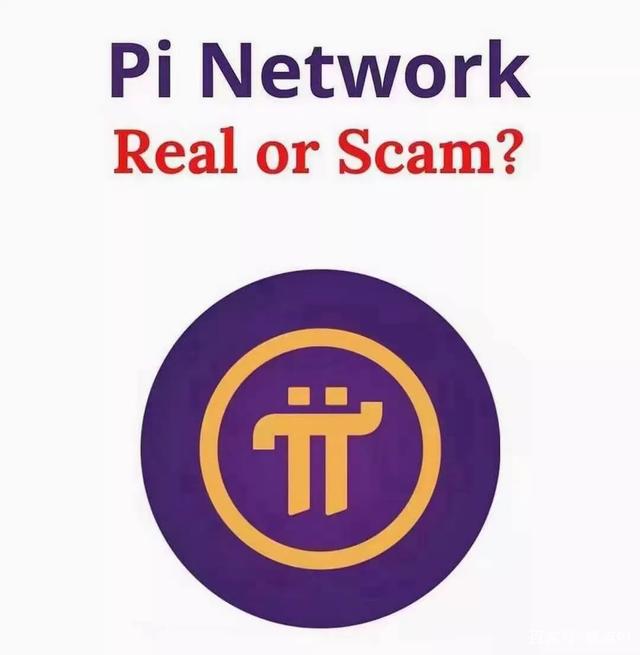 Pi視頻最新更新，溫馨日常中的友誼紐帶與快樂時光