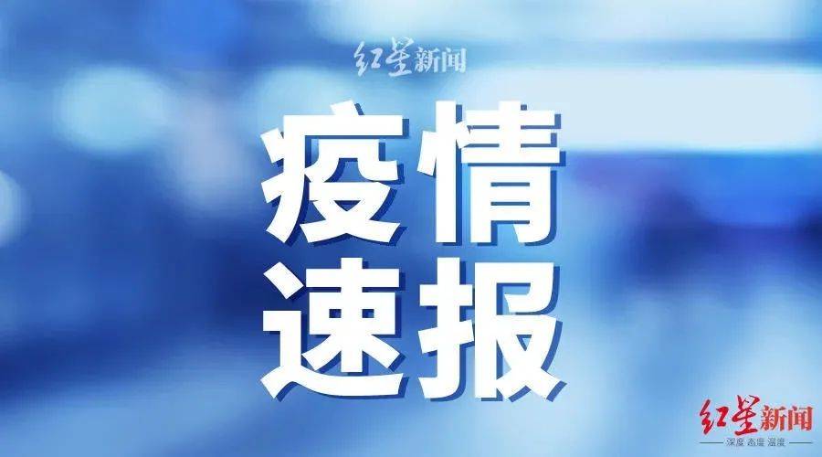 全球視角下的疫情最新情報(bào)深度解析