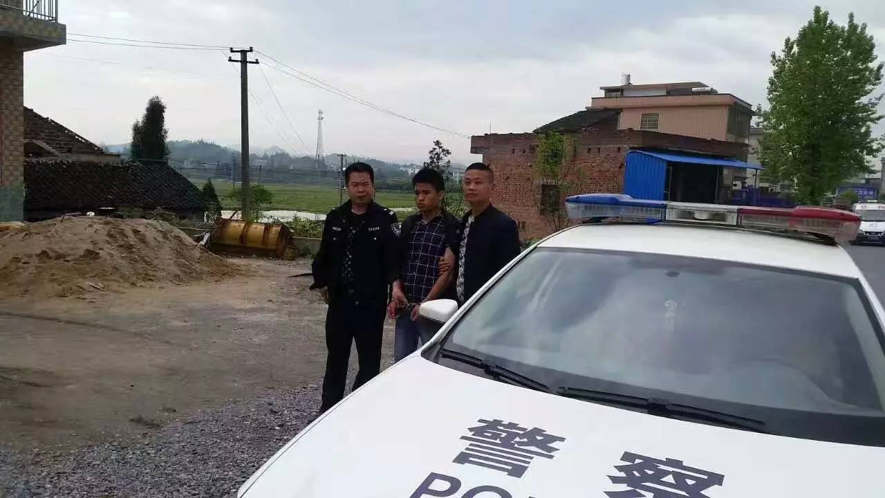 第315頁