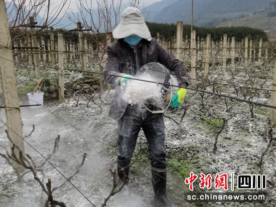 珙縣最新疫情,珙縣最新疫情下的自然探索之旅，尋找內(nèi)心的平靜與喜悅