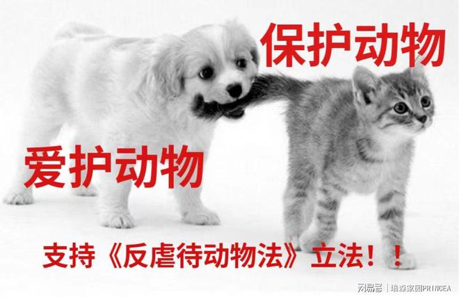 最新動(dòng)物法,最新動(dòng)物法步驟指南
