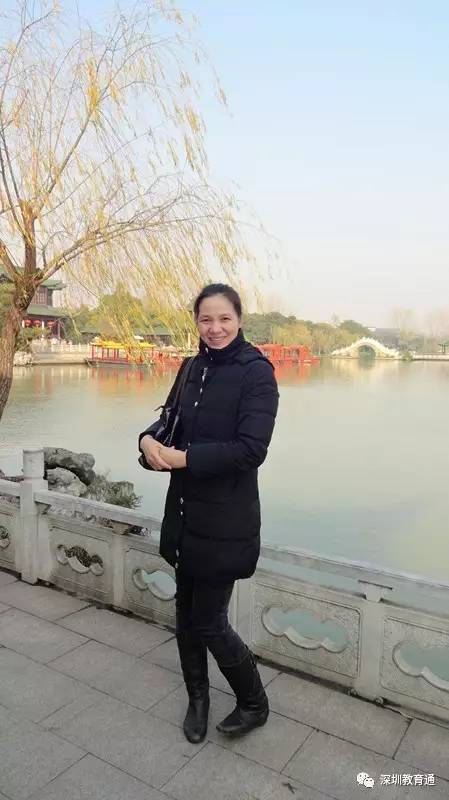 林小燕最新動態(tài)，多元視角的深入探討