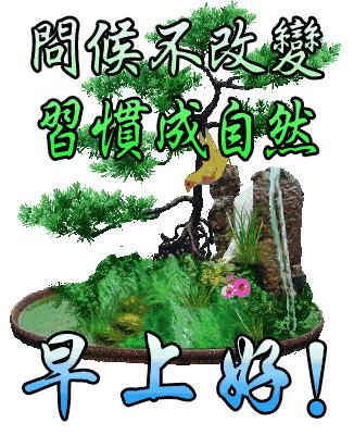 第272頁(yè)