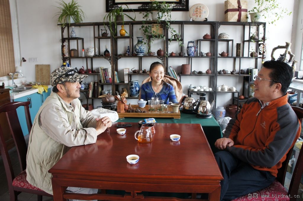 北戴河最新接待，自然美景探索之旅