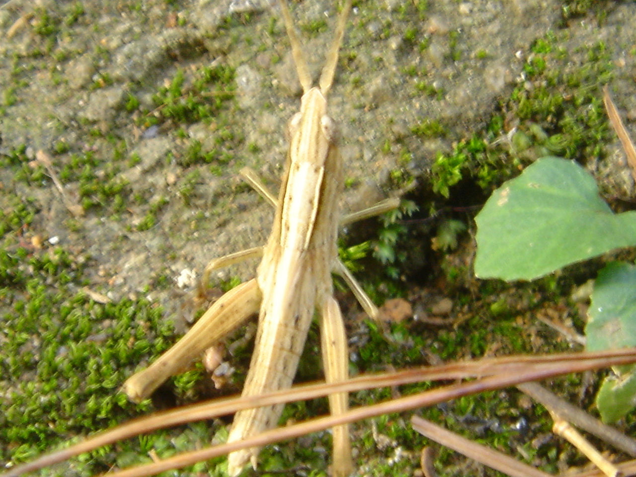 第225頁
