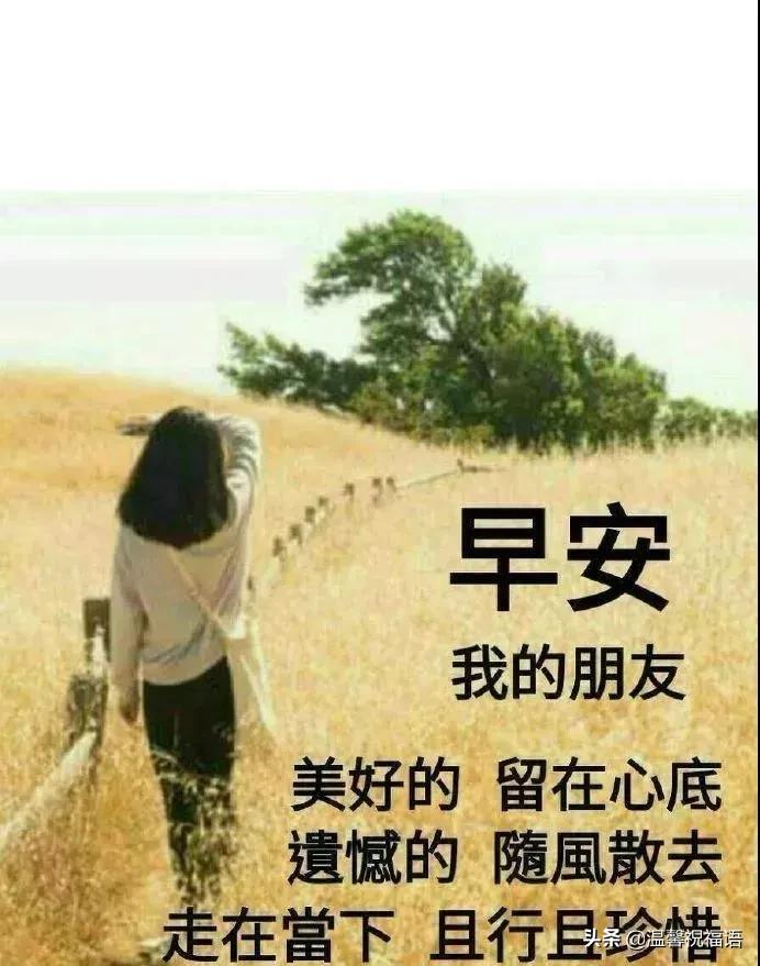 春天最新圖片大賞，繁花盛開，美不勝收！
