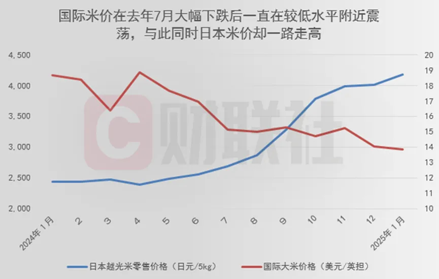日本最新行情概覽與分析
