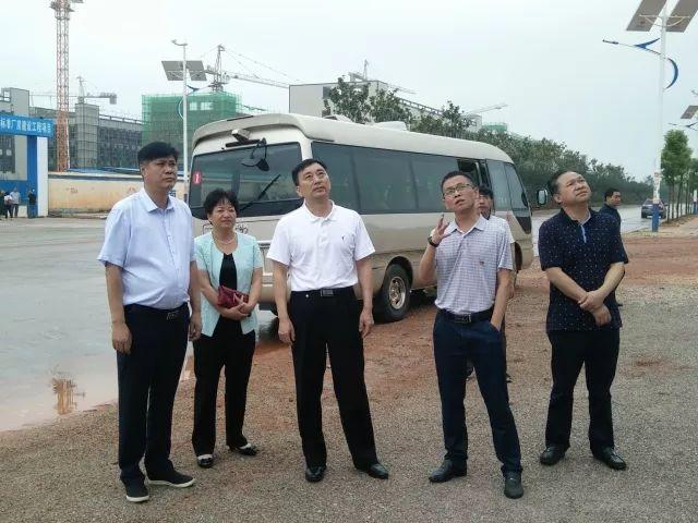 臨武縣委常委最新名單及其影響分析概述