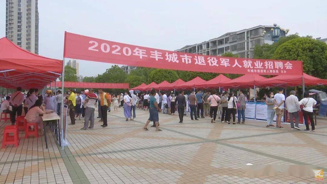 豐城就業(yè)局最新招聘日常趣事揭秘
