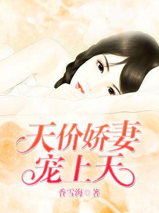 天價嬌妻寵你，深度解析人物、情節(jié)與主題，最新章節(jié)一覽