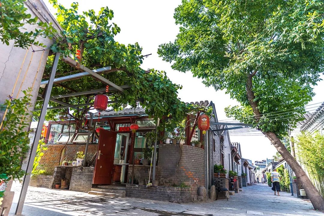 草騮社區(qū)最新地址，科技引領生活，前沿產(chǎn)品塑造未來