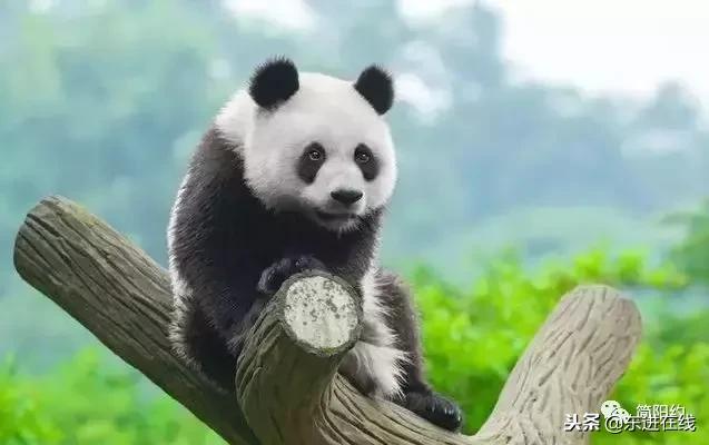 濟寧北湖之星最新動態(tài)，任務指南與技能學習教程揭秘