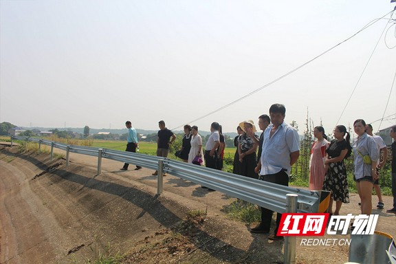 益陽(yáng)衡龍橋最新新聞，資訊更新與獲取指南