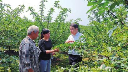 苗河根引領(lǐng)科技潮流，重塑未來生活體驗(yàn)新動態(tài)
