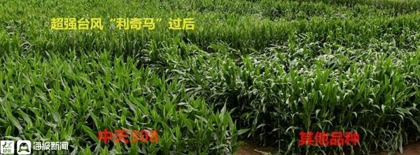 河南興中天最新動態(tài)更新