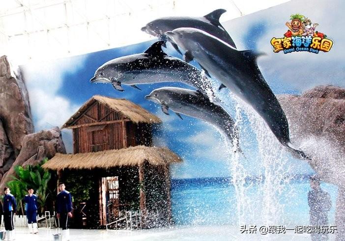 撫順海洋館最新招聘信息及應聘指南