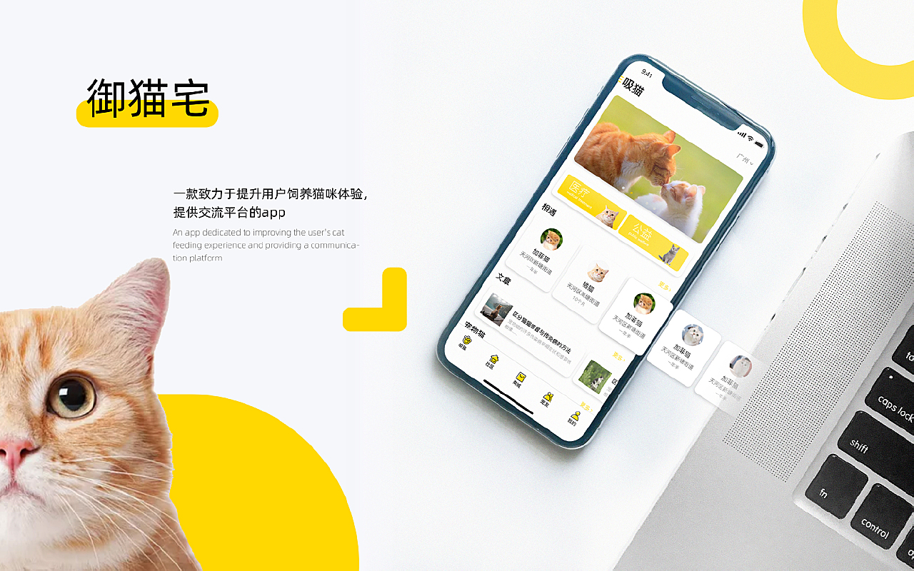 貓咪app最新版本，時代新寵的選擇
