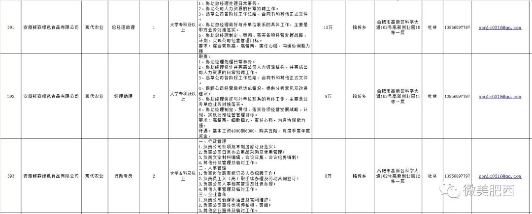 肥西上派最新招聘雙休，自然之旅與內(nèi)心寧靜的探尋