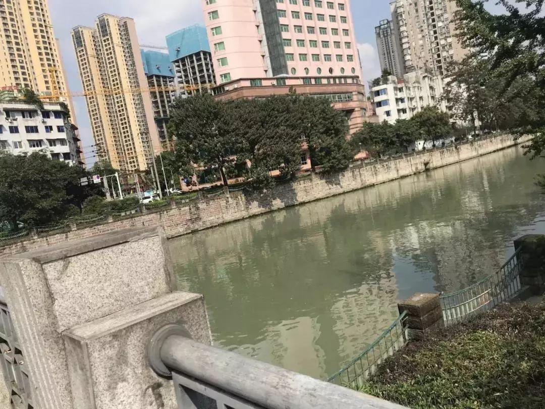 云南朝陽教育 第7頁