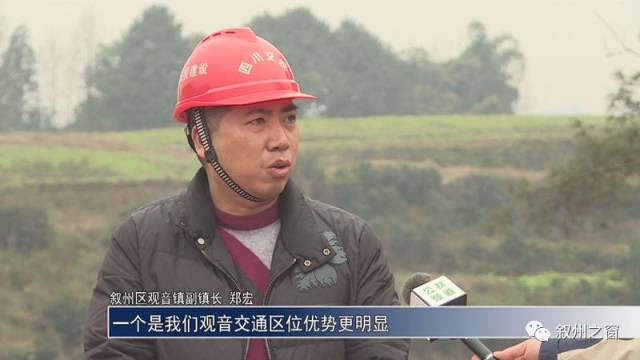 成宜高速公路最新動態(tài),成宜高速公路最新動態(tài)，巷弄深處的獨特風情與探索之旅
