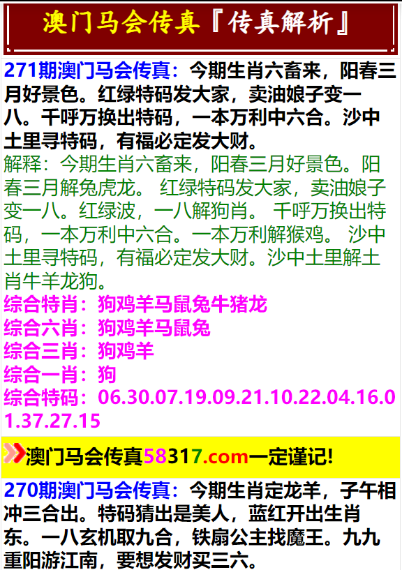 第48期馬會最新資料，變化中的學習之旅，成就自信之源